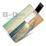 USB thẻ | Quà tặng công nghệ độc đáo