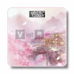 Cân sức khỏe | C02