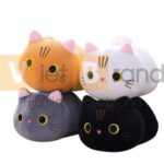 Gấu bông hình mèo siêu mềm làm quà tặng cho khách hàng 