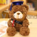 Gấu bông tốt nghiệp tùy chỉnh kích thước quà tặng khách hàng 