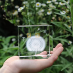 Chặn giấy pha lê 3D hình bồ công anh