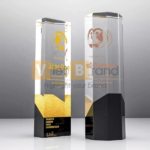 Cúp pha lê thủy tinh đặc biệt khắc laser logo tùy chỉnh